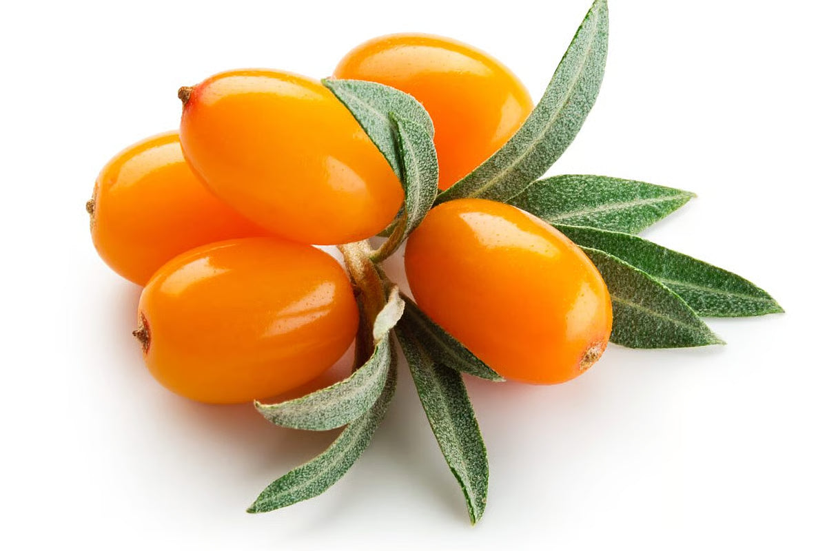 Sea Buckthorn Gummies | Private Label | Vanity Vision