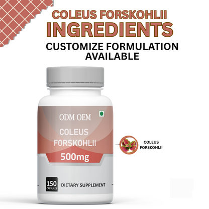 ODM OEM Coleus Forskohlii 500mg Capsules