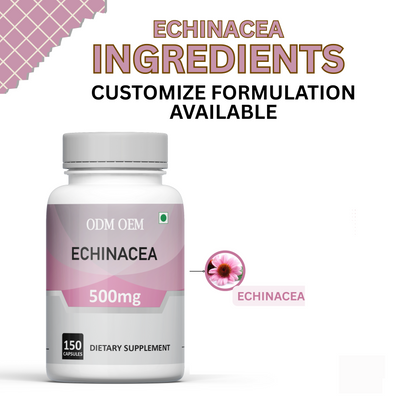 Echinacea 500mg Capsules – Natural Immune Support and Cold Relief