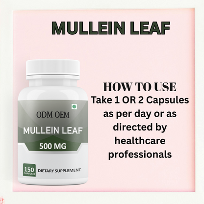 Mullein Leaf 500mg 150 Capsules – Supports Respiratory Health & Immune Function