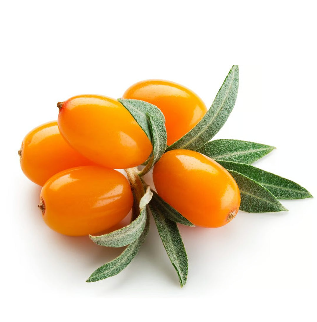 Sea Buckthorn Capsules | OEM/ODM | Vanity Vision