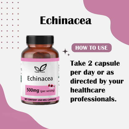 Echinacea 500mg Capsules – Natural Immune Support and Cold Relief