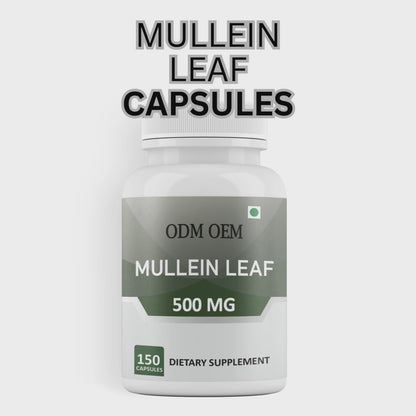 Mullein Leaf 500mg 150 Capsules – Supports Respiratory Health & Immune Function